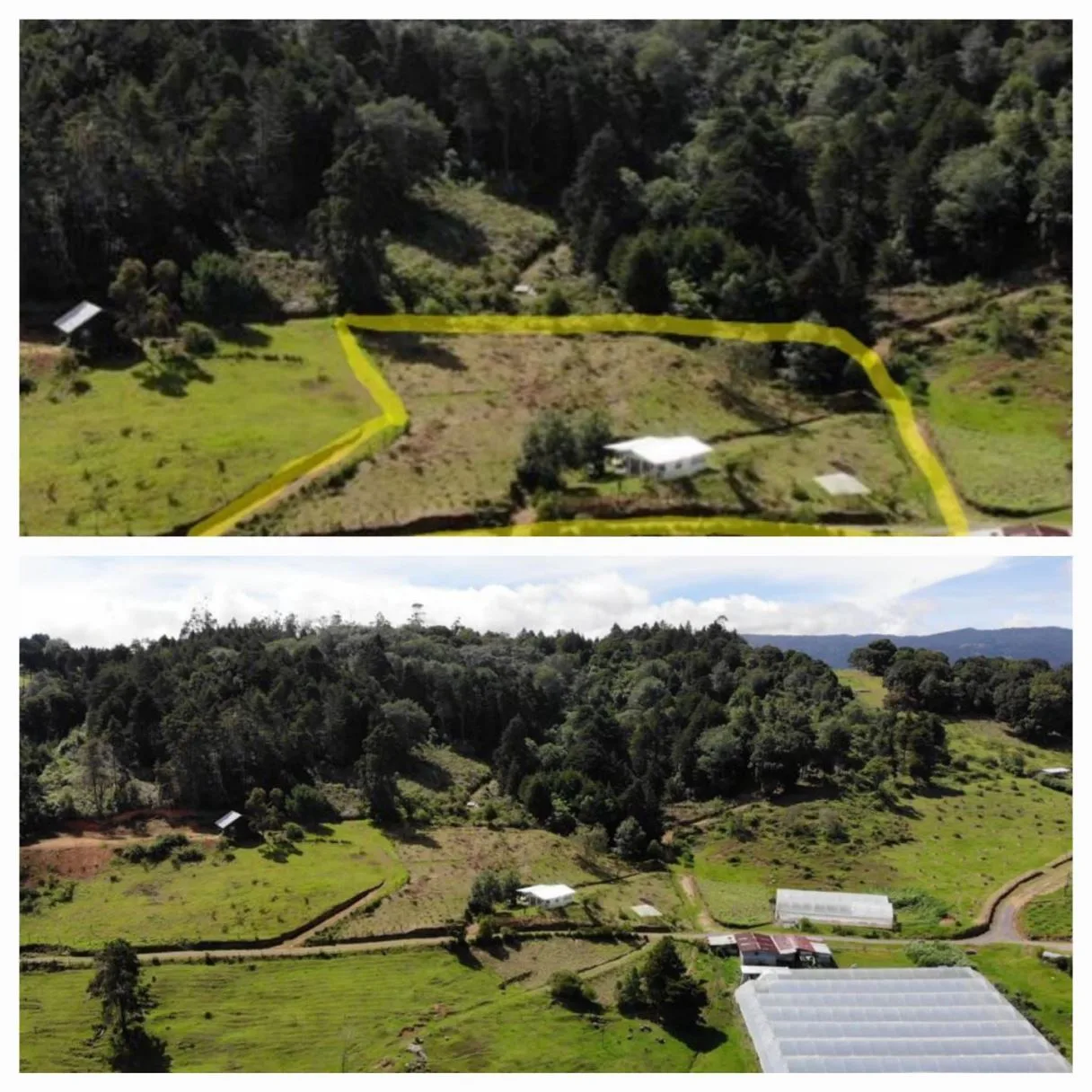 Property for Sale in Dota, San José – Nature, Peace &amp; Privacy — photo 4
