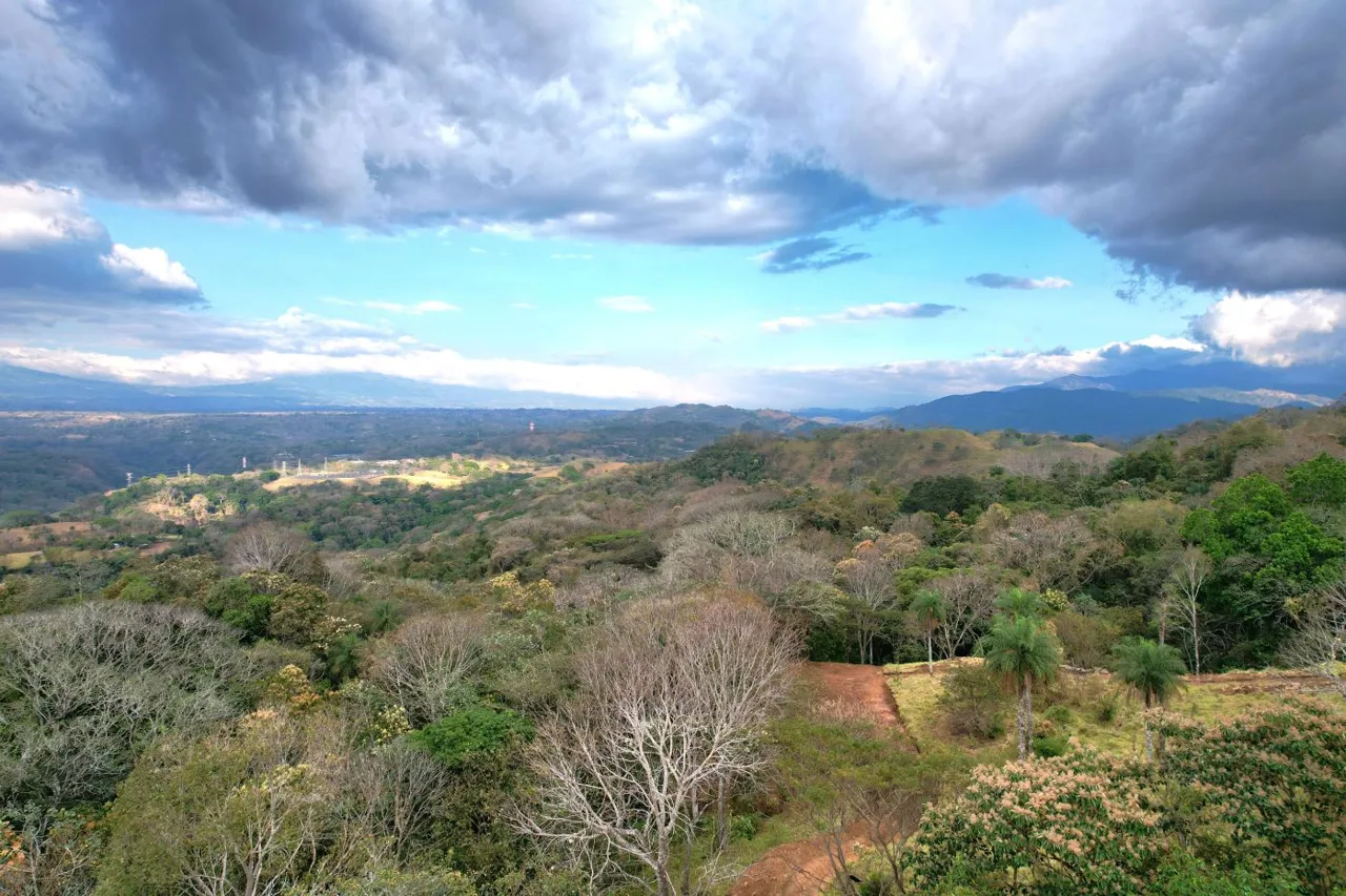 This is a rare opportunity to secure a large, versatile property with breathtaking views in one of Costa Rica’s emerging areas. 11 Acres — photo 2