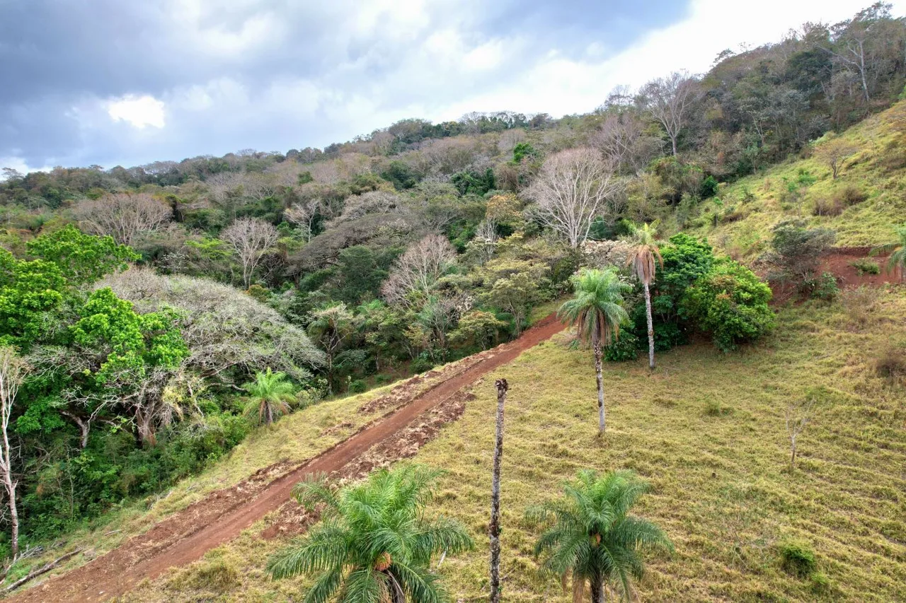 This is a rare opportunity to secure a large, versatile property with breathtaking views in one of Costa Rica’s emerging areas. 11 Acres — photo 4