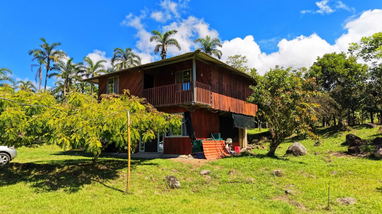 Rural House for Sale with Mountain Views in San Pedrito de Cajón, Pérez Zeledón – 2,664 m² of Nature and a Nearby River — photo 2