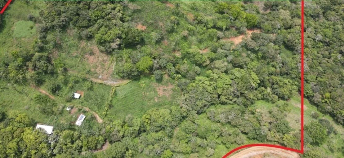 Property for Sale in San Ramón – 7.6 Hectares, Ideal for Development, with Mountain Views