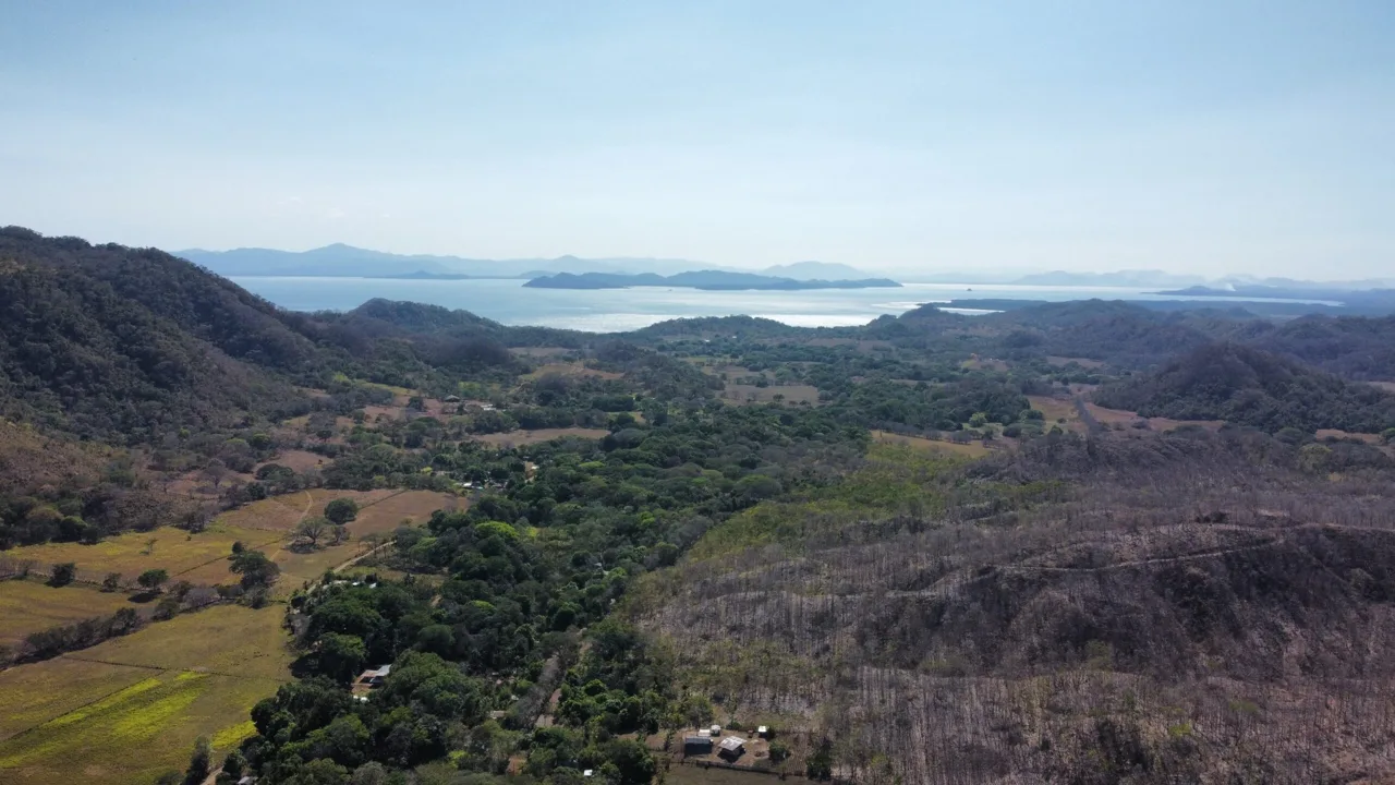 Exclusive Property for Sale in Coyolito de Manzanillo, Puntarenas 🏡🌿