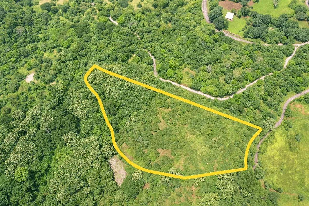 Build Your Vision: Casitas, Retreat, or Retirement Haven in Atenas - 7.8 Acres of Opportunity