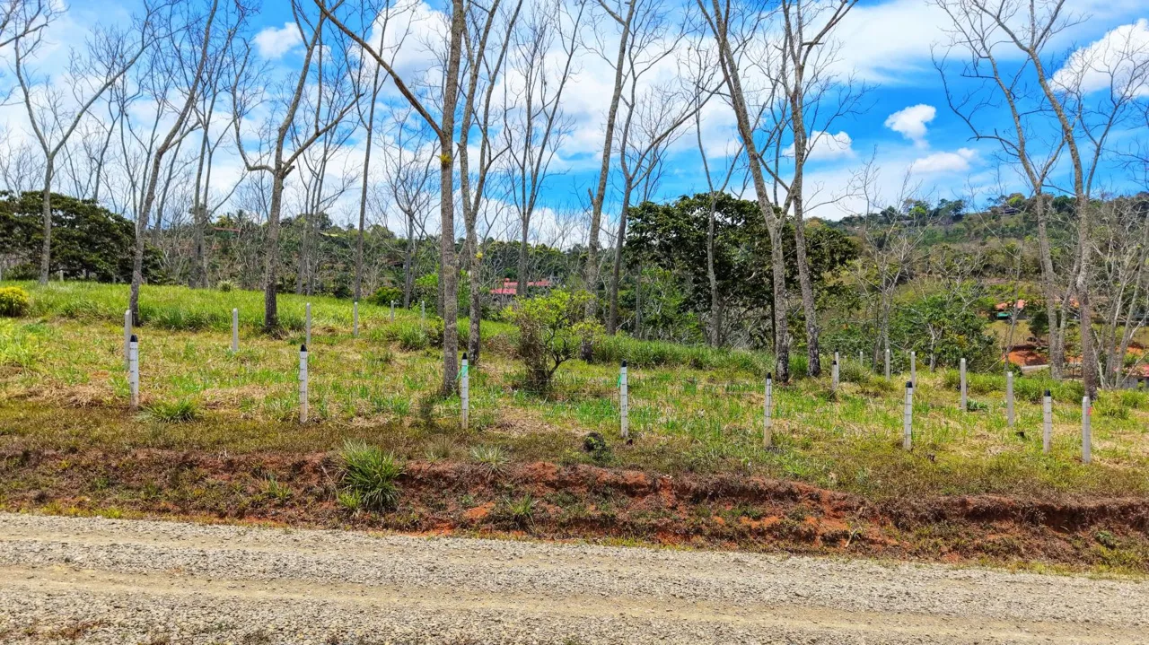 For Sale: One of 3 Premium Lots in Santa Rosa, Perez Zeledon – Don’t Miss Out