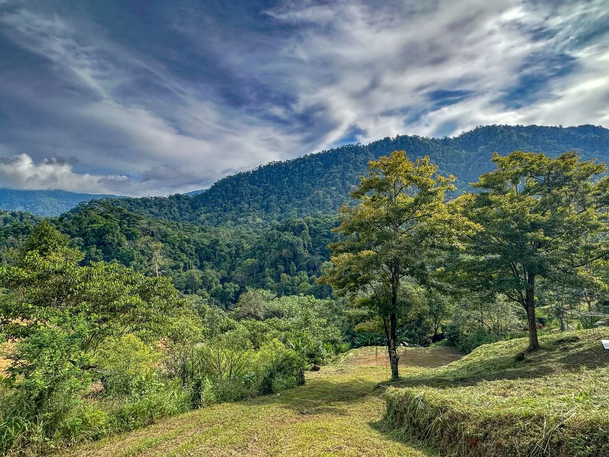 Jungle, Mountain &amp; Valley View Lot with Two Large Plantels, Bordering a Crystal Mountain River with Swimholes &amp; a Waterfall
