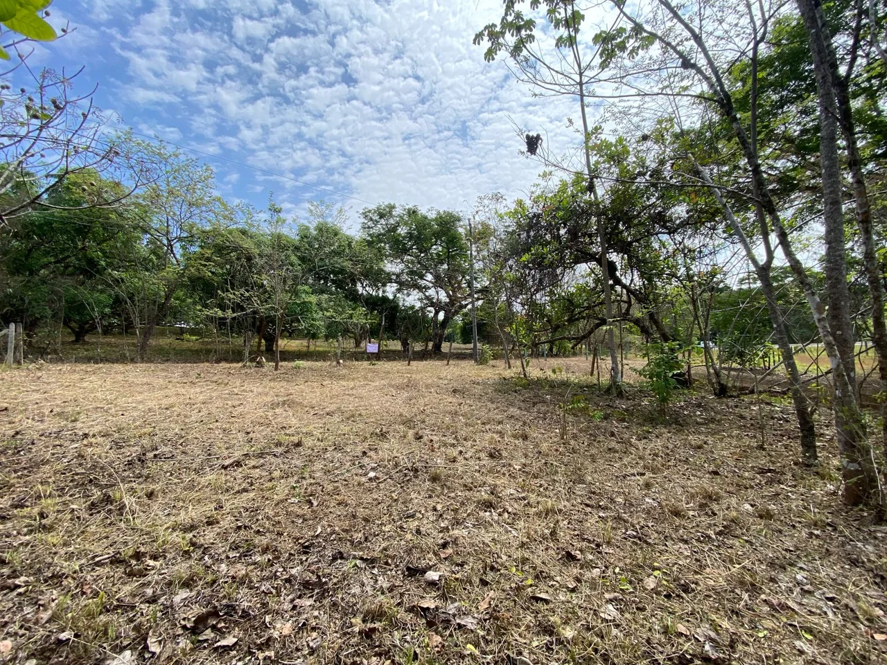 Beautiful Land for Sale