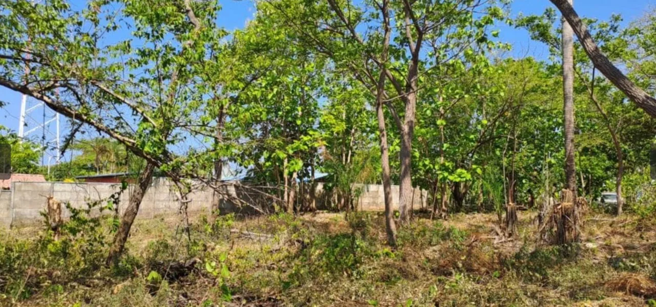 Own a Piece of Paradise in Guacalillo, Bajamar: Ocean View Property