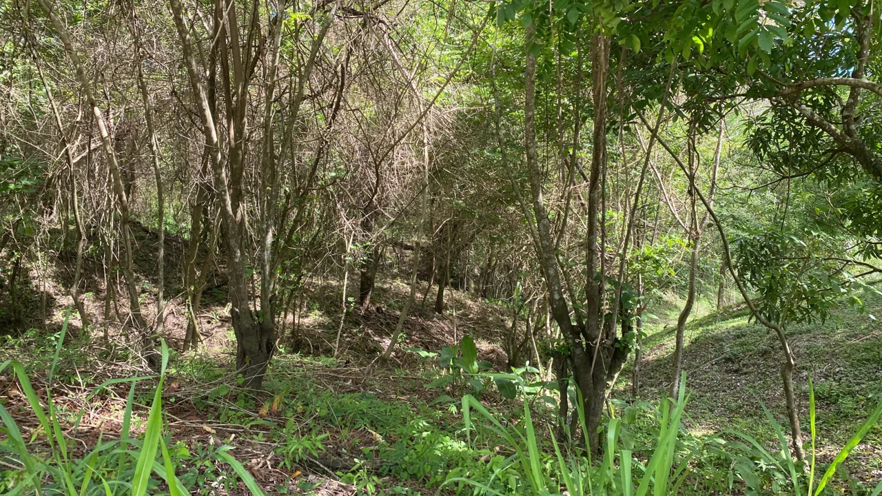 Santiago, commercial / residential corner lot