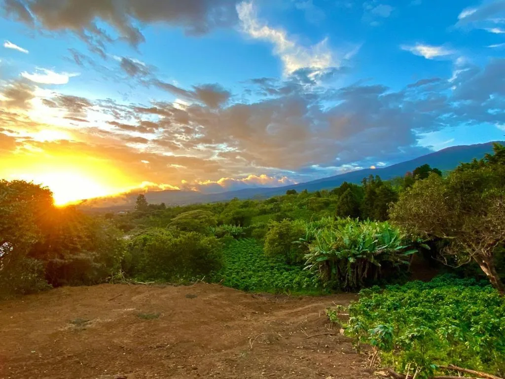 Prime Development Property for Sale in Poás, Alajuela – 200,000 m² with Stunning Views