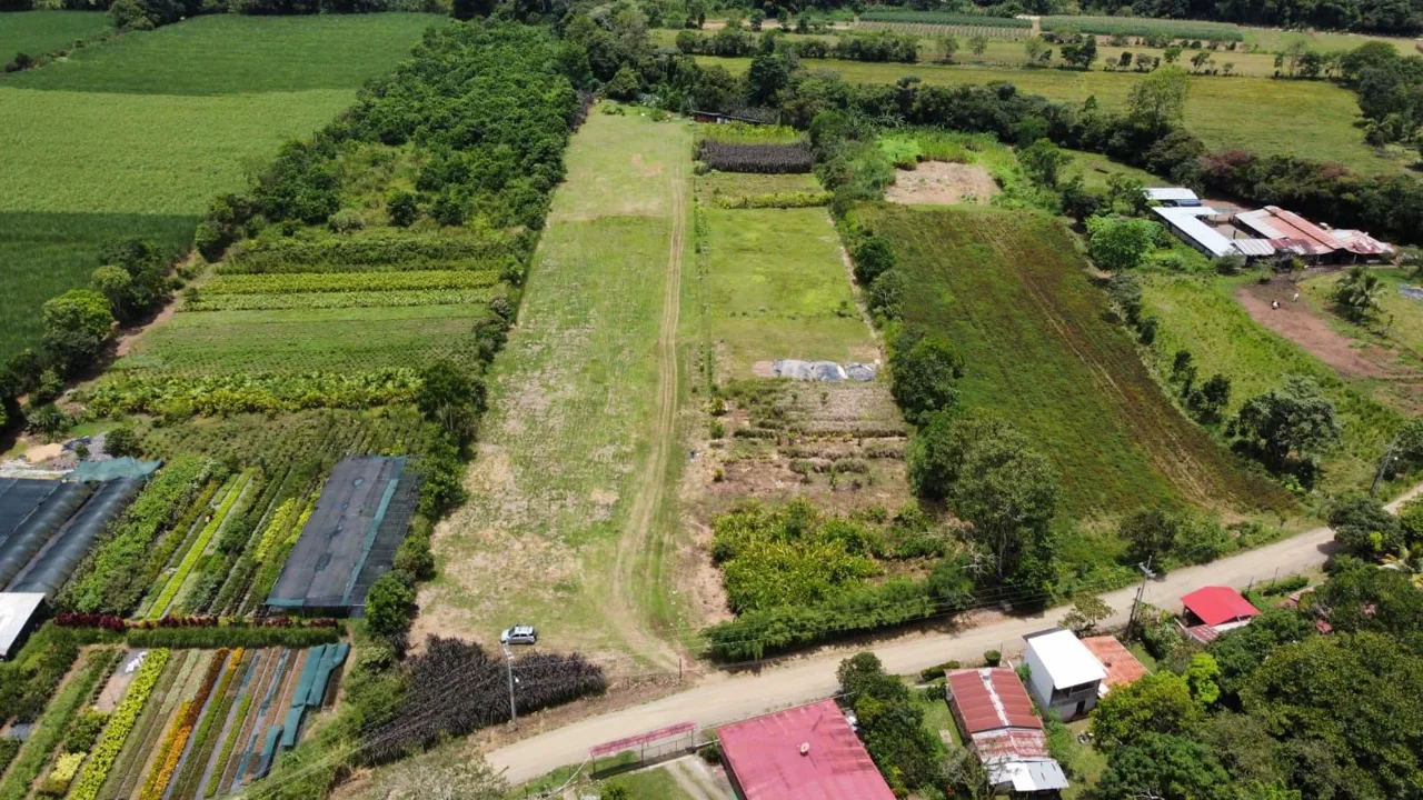 For Sale: Beautiful Flat Farm With Pasture, Ornamentals, And High Investment Potential