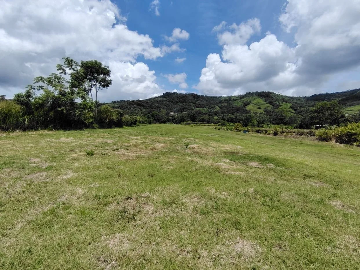 For Sale: Beautiful Flat Farm With Pasture, Ornamentals, And High Investment Potential — photo 2