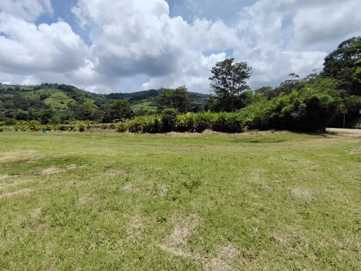 For Sale: Beautiful Flat Farm With Pasture, Ornamentals, And High Investment Potential — photo 5