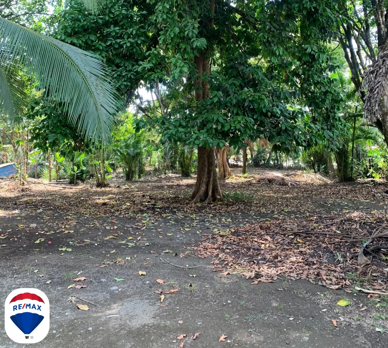 Puerto Jimenez commercial property for sale