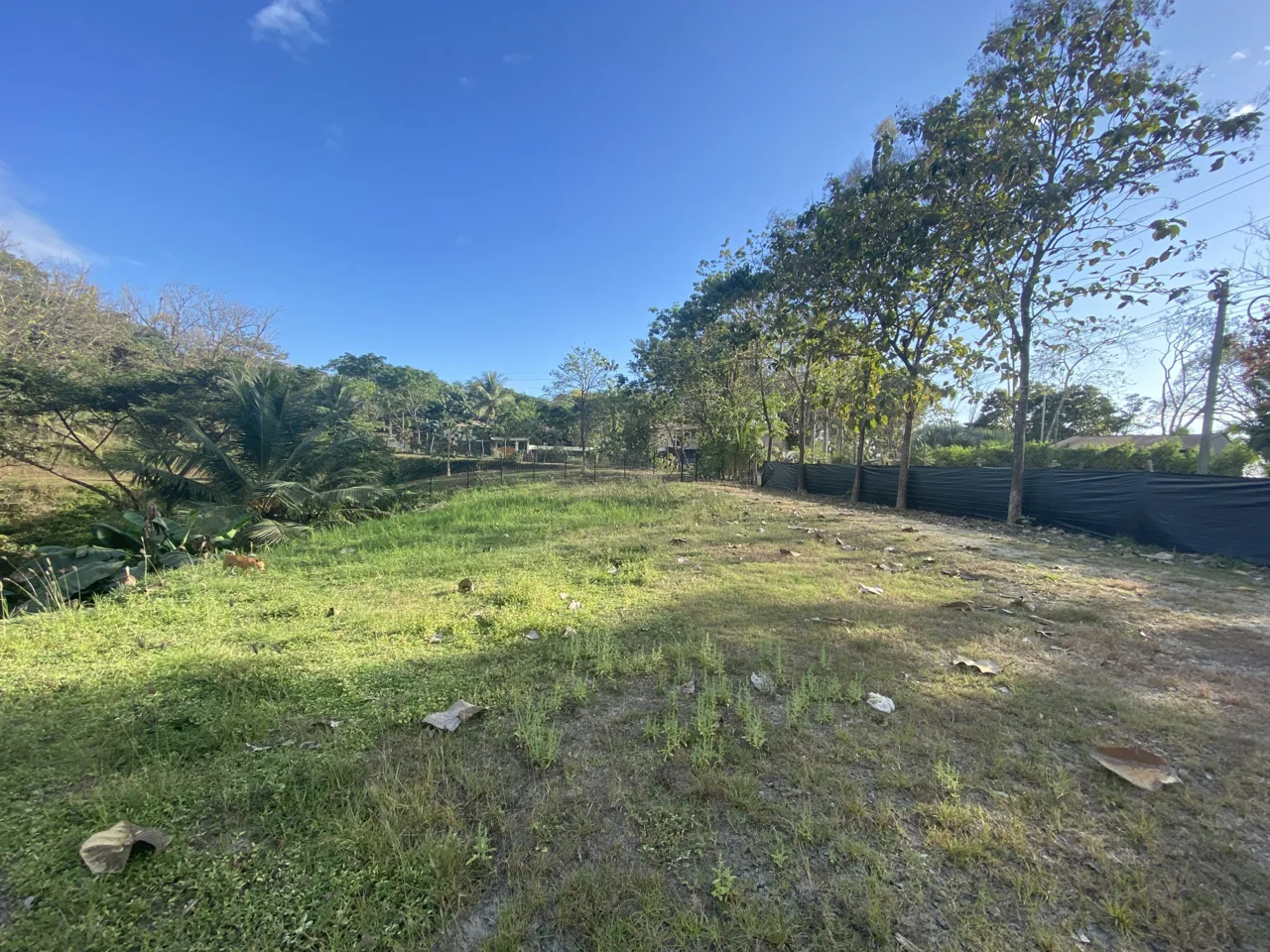 Manzanillo Commercial and residential lot steps to the beach