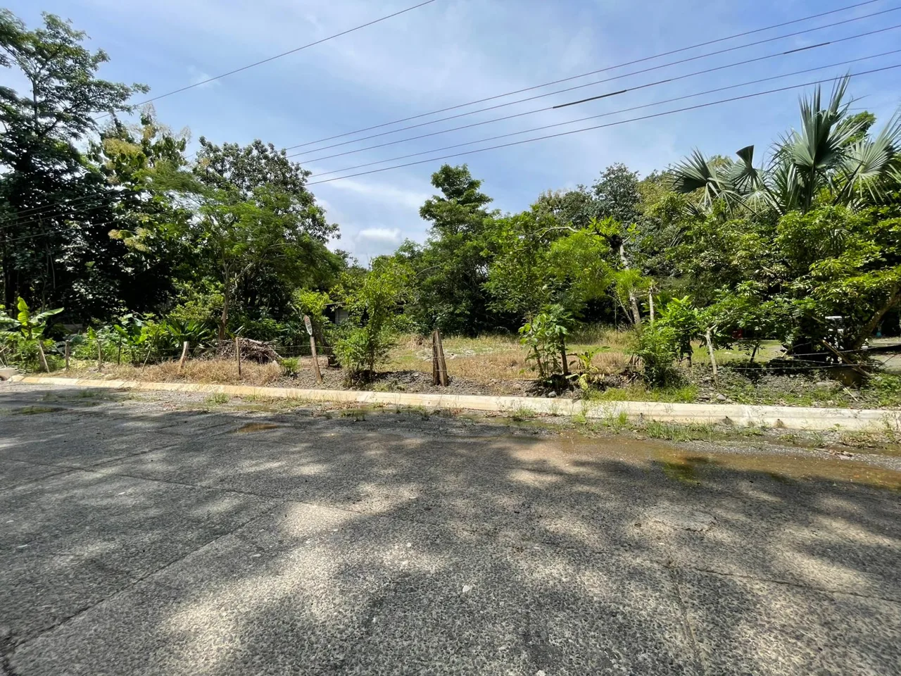 🏡 Lot for Sale – Playón de Turrubares 🌿