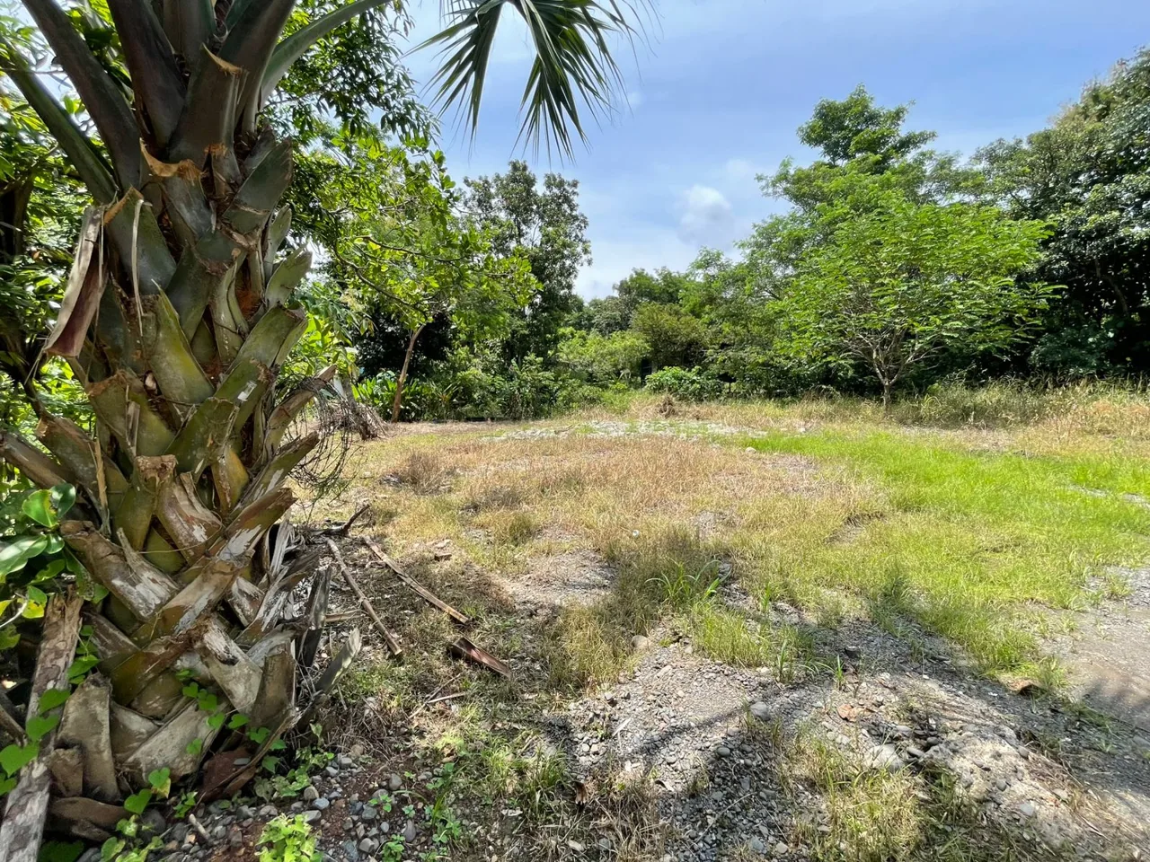 🏡 Lot for Sale – Playón de Turrubares 🌿 — photo 3