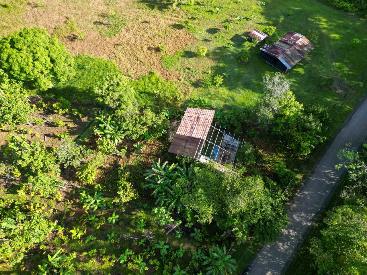 Guadalupe La Palma Lot for Sale – Near Playa Blanca &amp; Corcovado