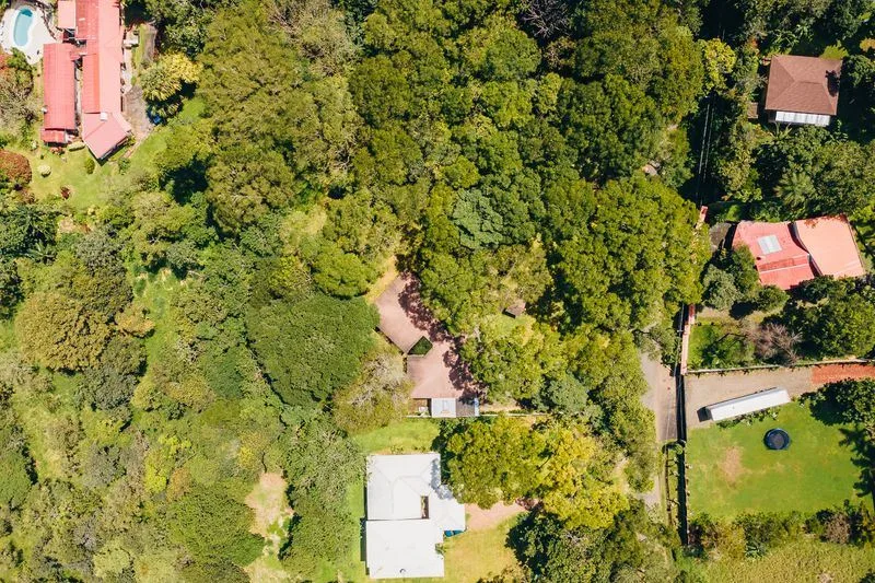 Forest farm for sale in Alajuela