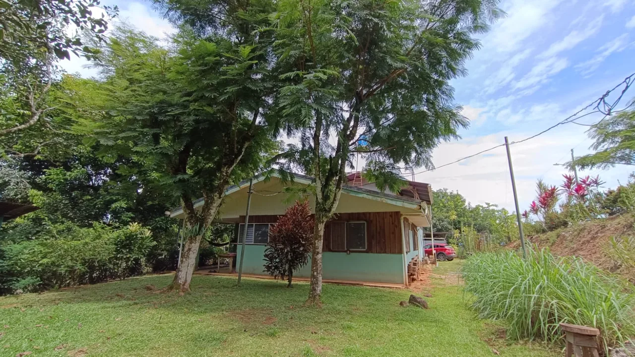 NEW PRICE: 20% OFF | Nature Lover’s Retreat on the Road to Puerto Jiménez
