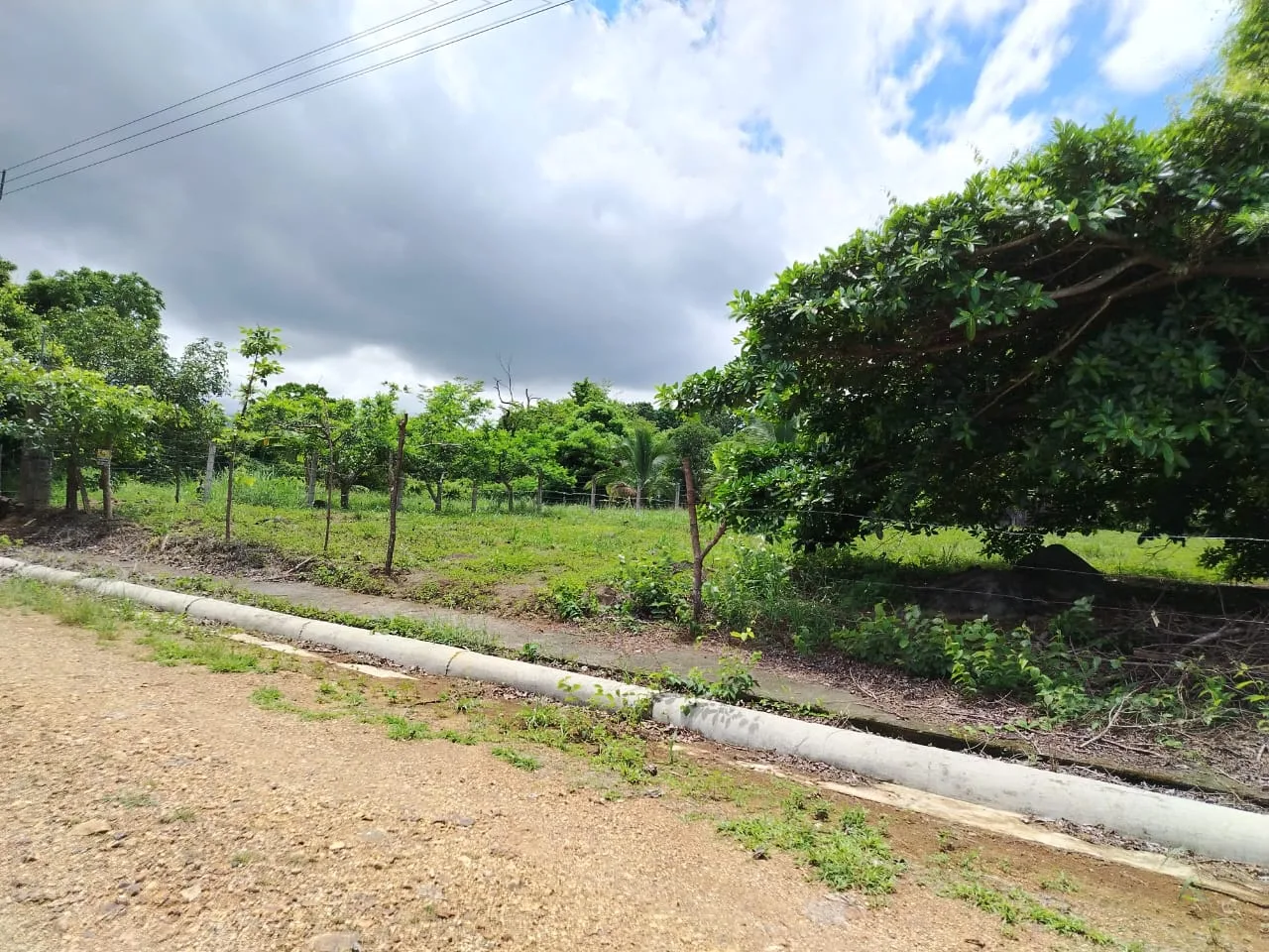 🌿 Residential Lot for Sale – Cuatro Esquinas, Hacienda Vieja Road 🌿