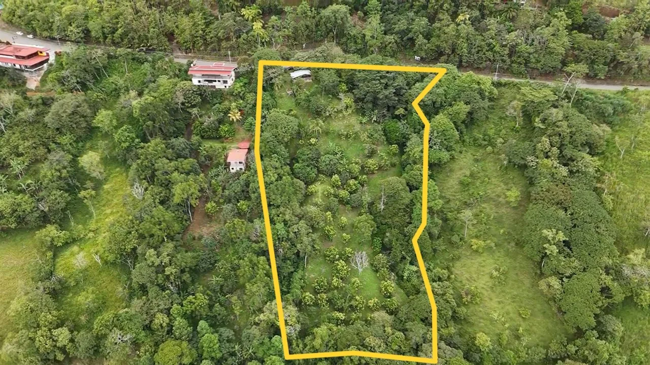 Spacious Lot For Sale With Beautiful Views And Private Spring Water In The Center Of La Palma