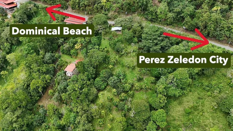 Spacious Lot For Sale With Beautiful Views And Private Spring Water In The Center Of La Palma — photo 2