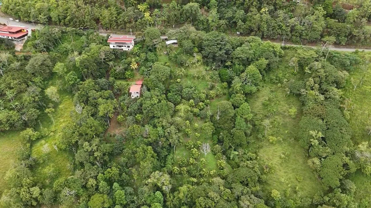Spacious Lot For Sale With Beautiful Views And Private Spring Water In The Center Of La Palma — photo 3