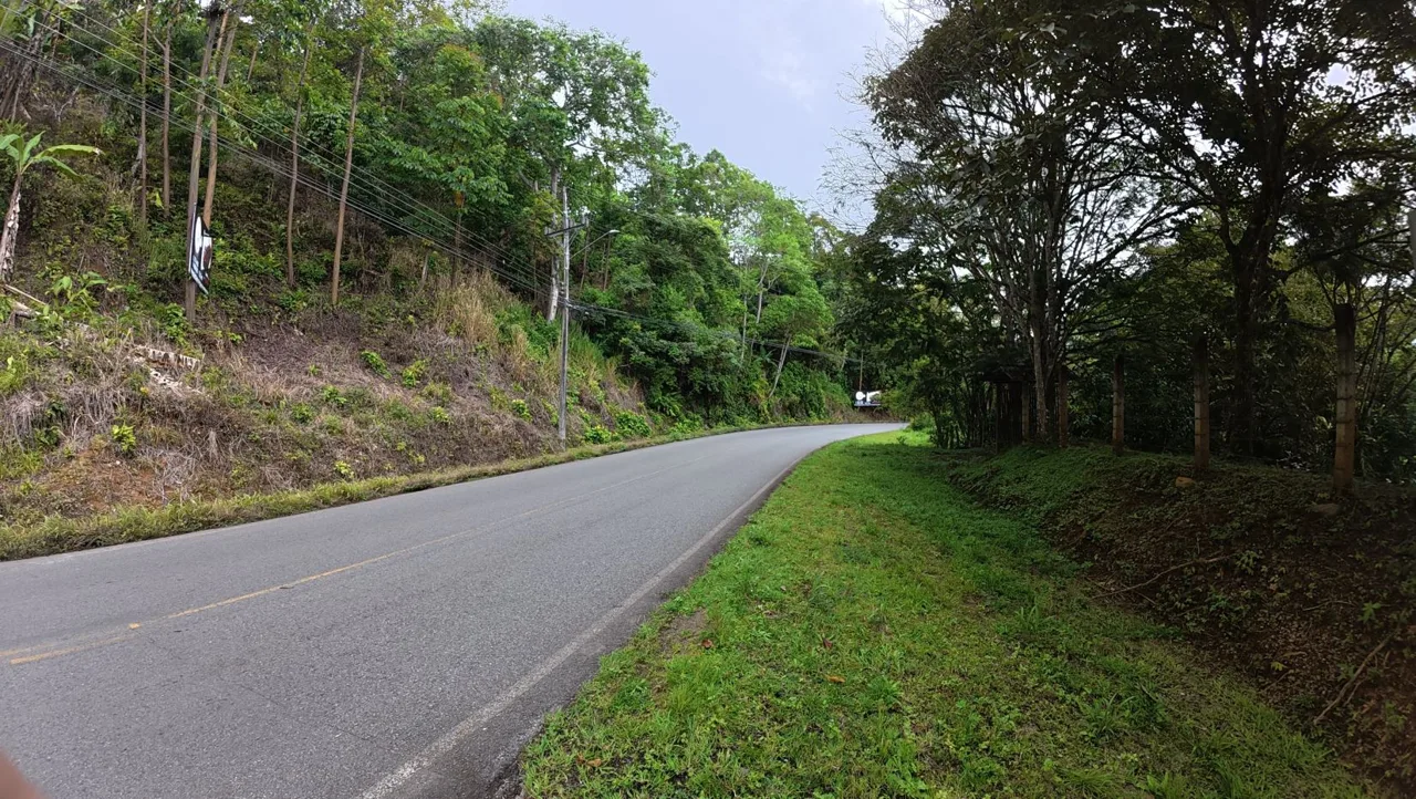 Spacious Lot For Sale With Beautiful Views And Private Spring Water In The Center Of La Palma — photo 4