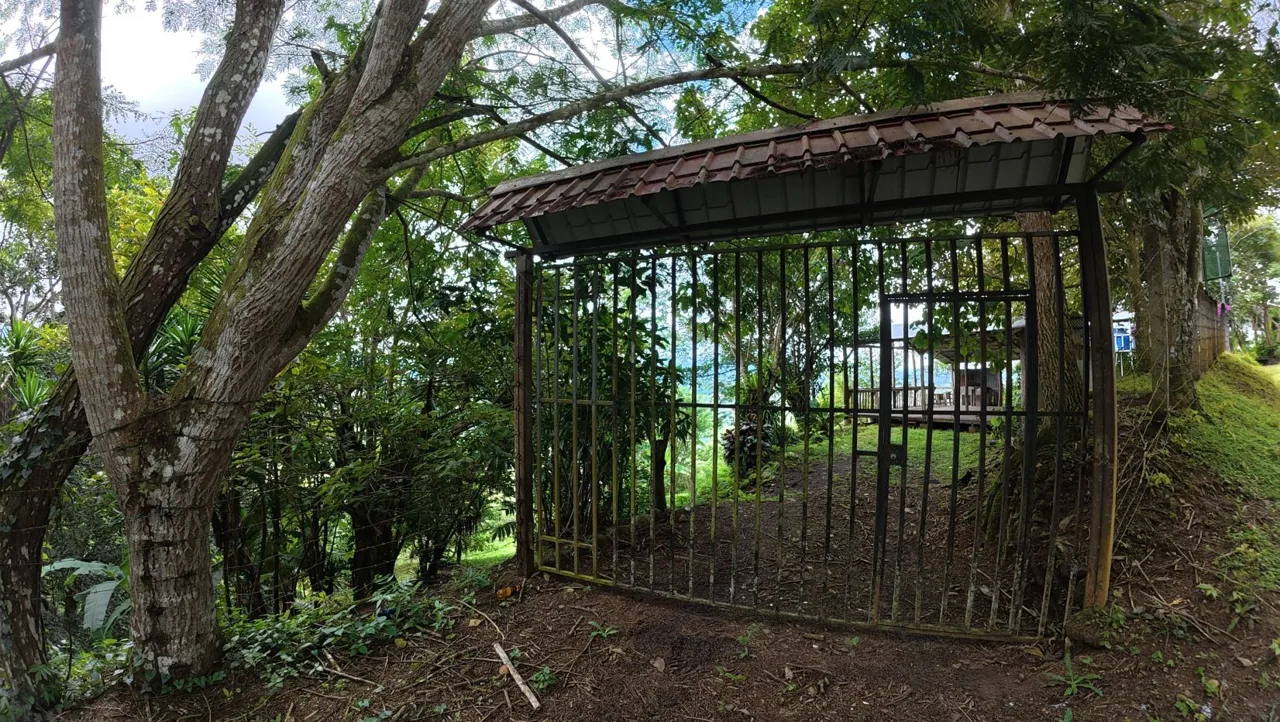 Spacious Lot For Sale With Beautiful Views And Private Spring Water In The Center Of La Palma — photo 5
