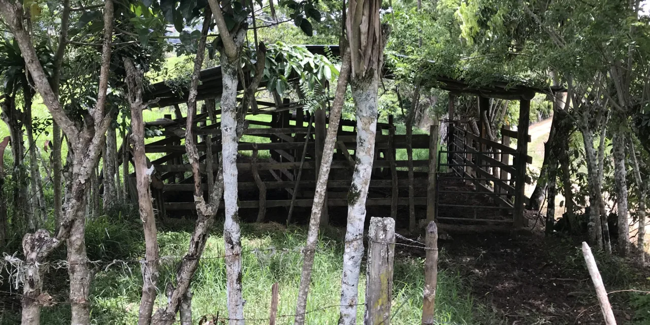 Waterfall Finca with 28 Acres of Land in Las Esperanzas between Dominical &amp; San Isidro Costa Rica — photo 2