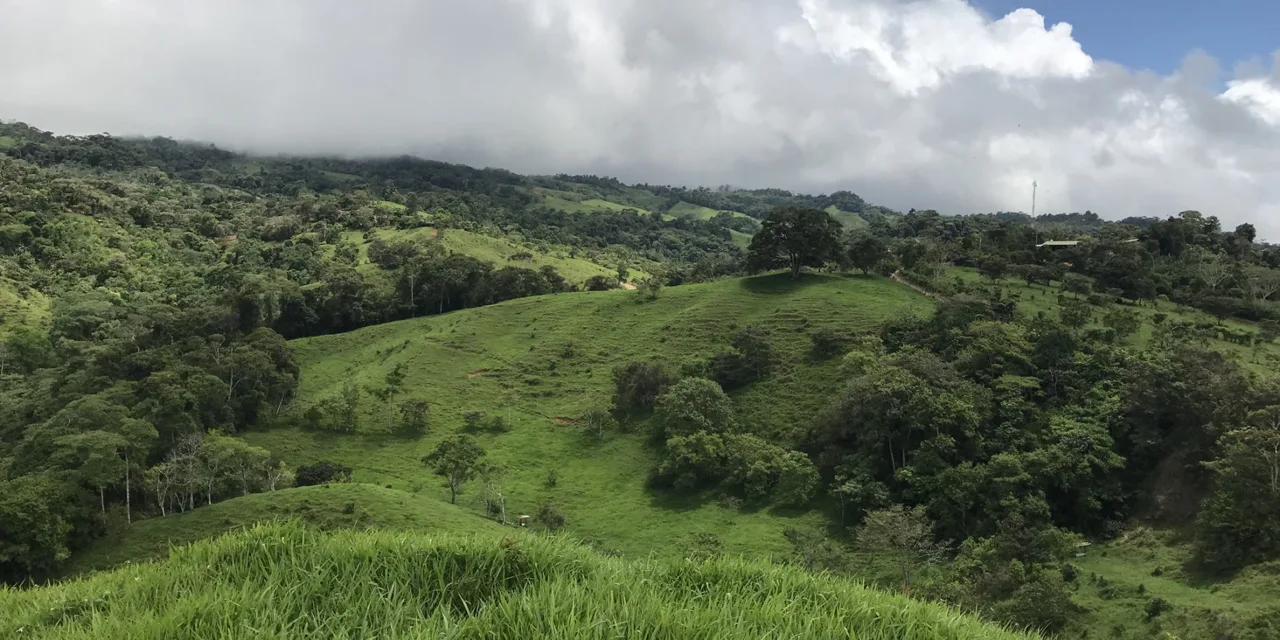 Waterfall Finca with 28 Acres of Land in Las Esperanzas between Dominical &amp; San Isidro Costa Rica — photo 3