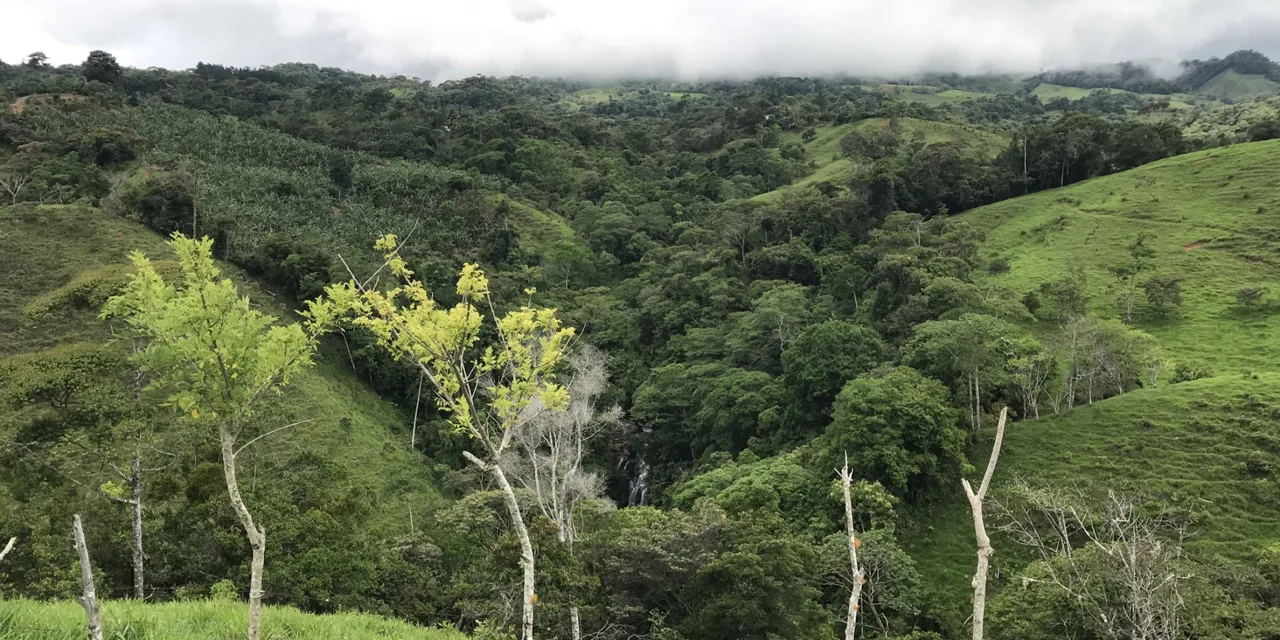 Waterfall Finca with 28 Acres of Land in Las Esperanzas between Dominical &amp; San Isidro Costa Rica — photo 4