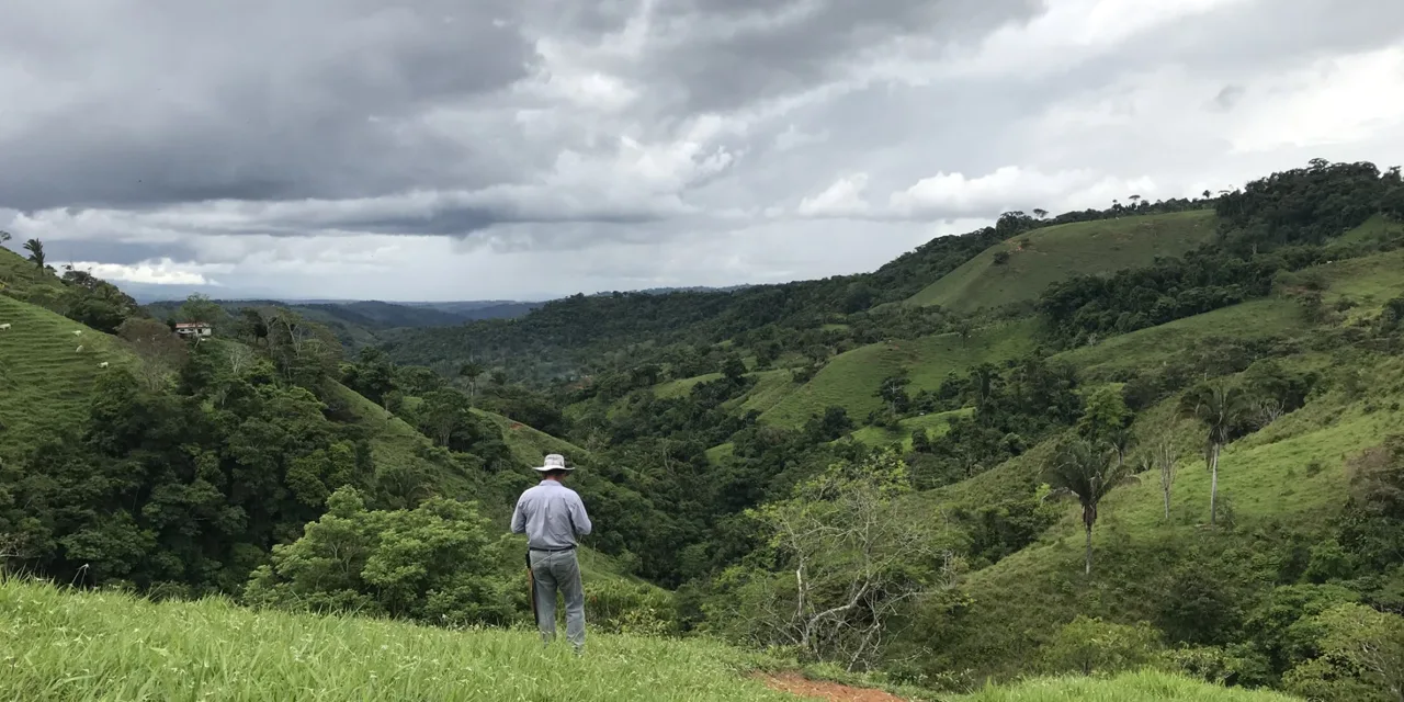 Waterfall Finca with 28 Acres of Land in Las Esperanzas between Dominical &amp; San Isidro Costa Rica — photo 5
