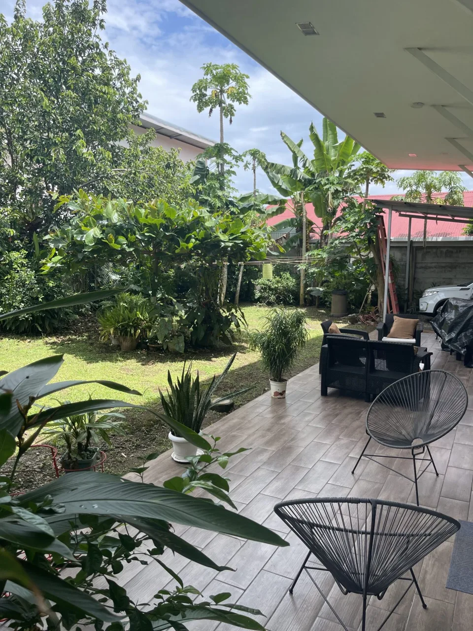 Garden in paradise