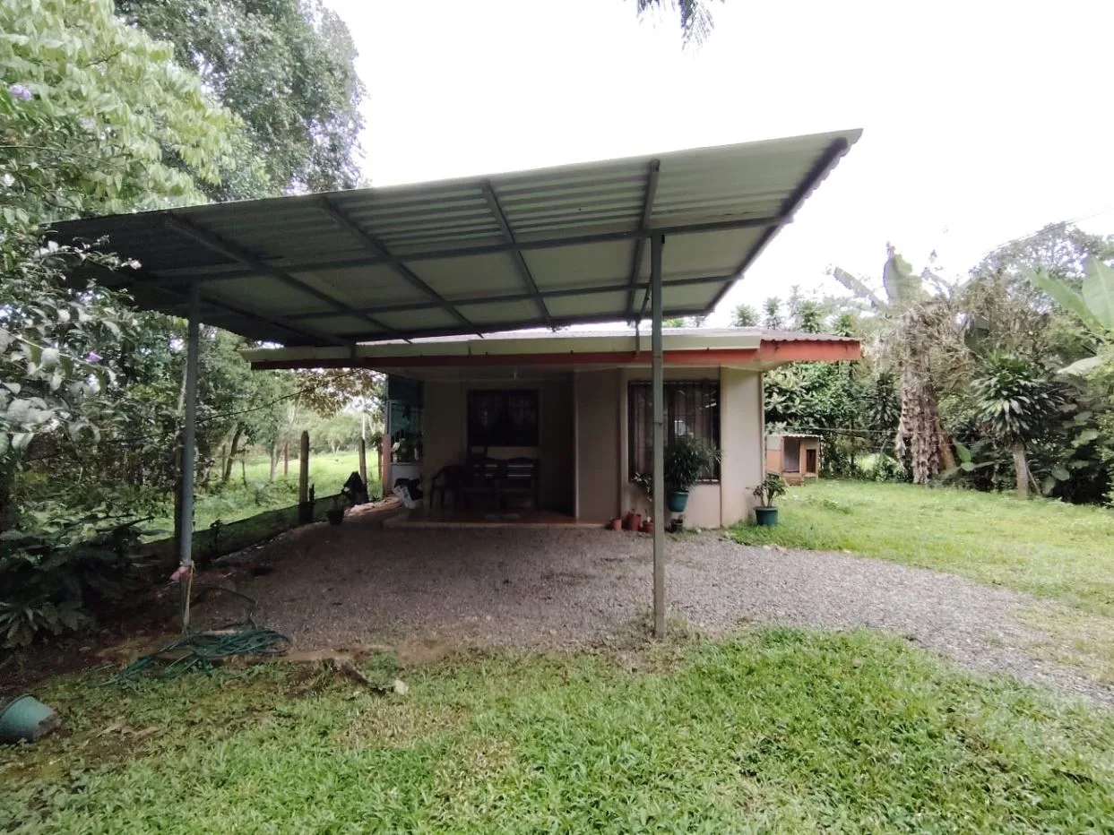 1,306,85 M² Lot For Sale With Fruit Trees And Cozy House