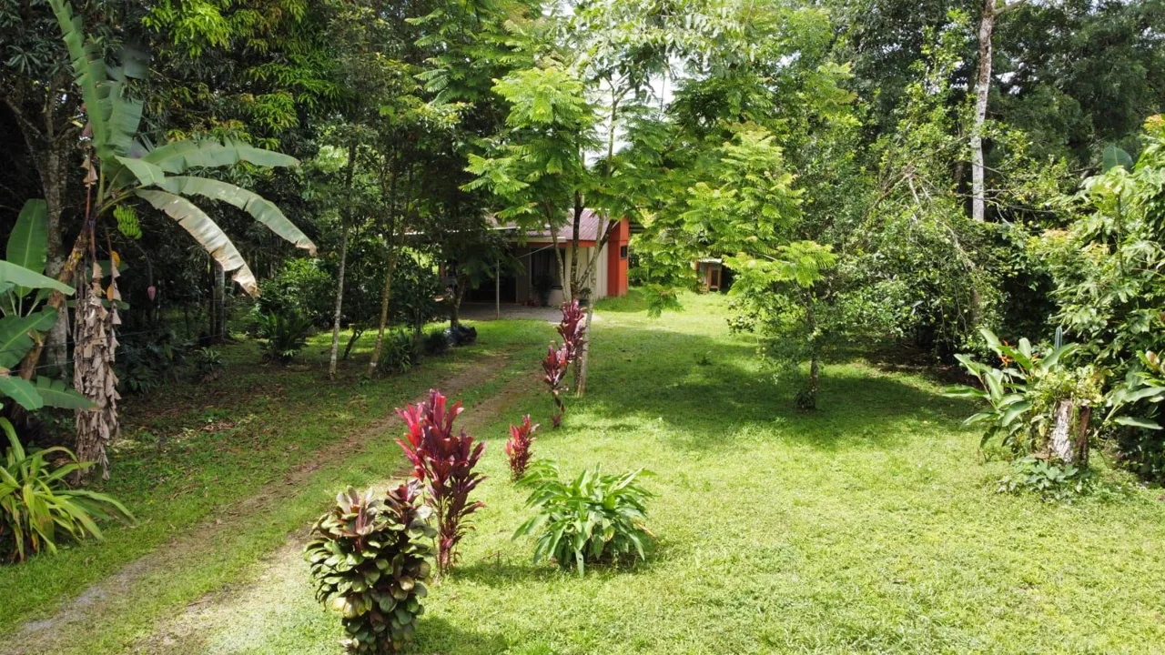 1,306,85 M² Lot For Sale With Fruit Trees And Cozy House — photo 2