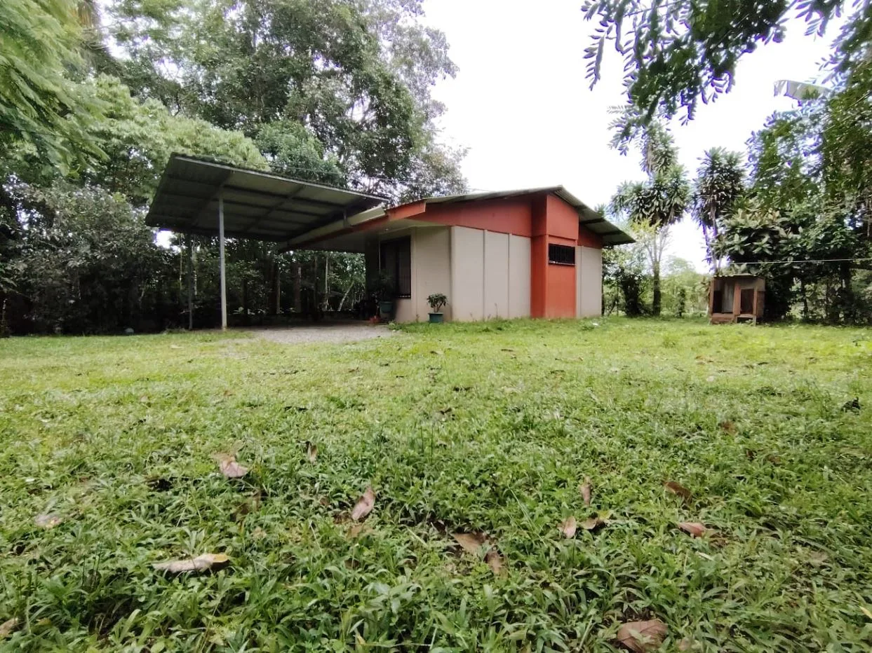 1,306,85 M² Lot For Sale With Fruit Trees And Cozy House — photo 4