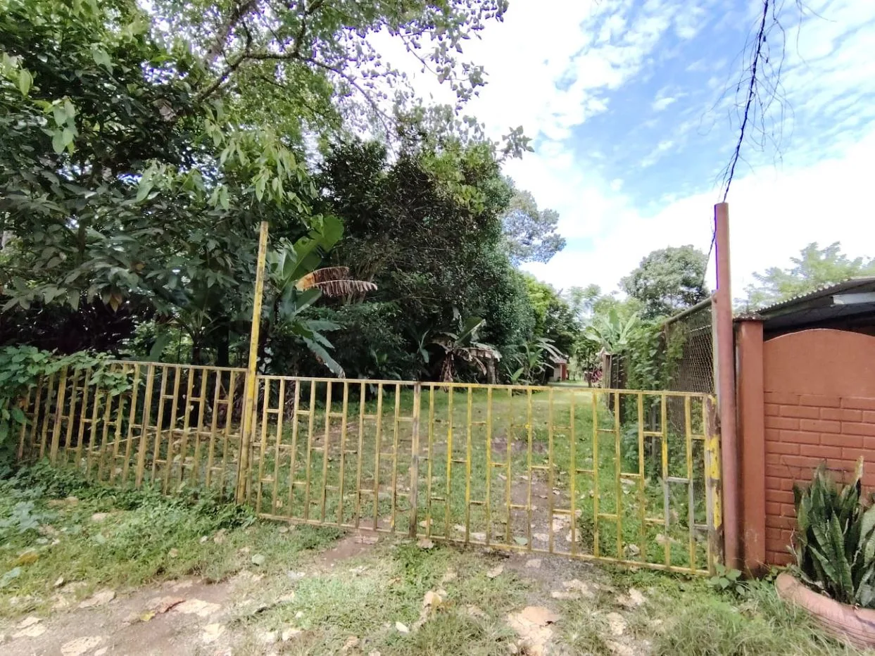 1,306,85 M² Lot For Sale With Fruit Trees And Cozy House — photo 5