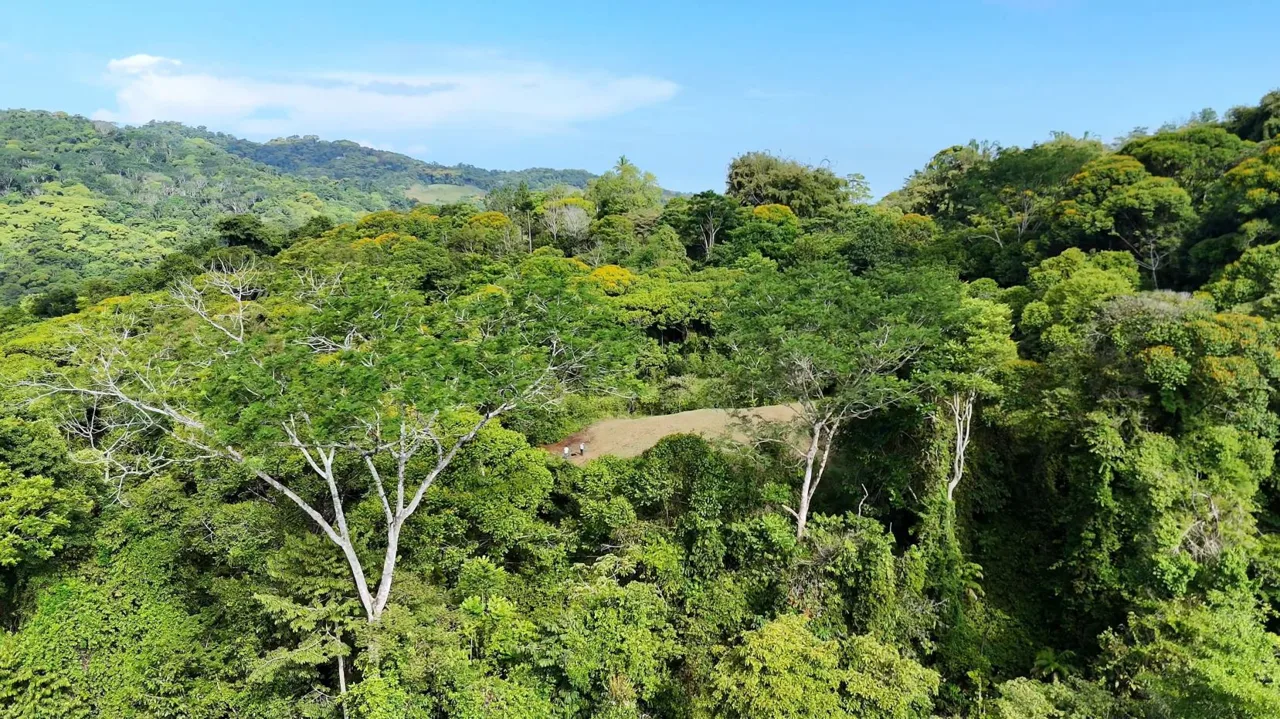 Exclusive Land Investment Opportunity Near the stunning beaches in Dominical