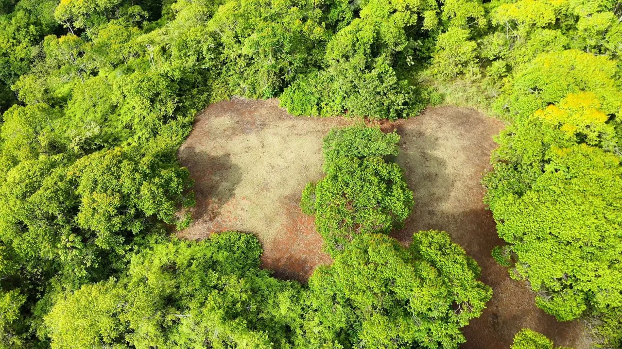 Exclusive Land Investment Opportunity Near the stunning beaches in Dominical — photo 2