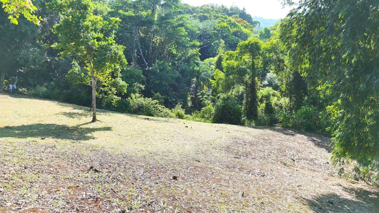 Exclusive Land Investment Opportunity Near the stunning beaches in Dominical — photo 3