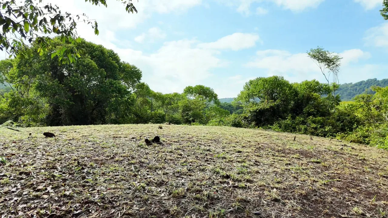 Exclusive Land Investment Opportunity Near the stunning beaches in Dominical — photo 5
