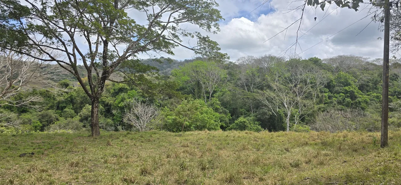 Secluded 2-Hectare Paradise by the River