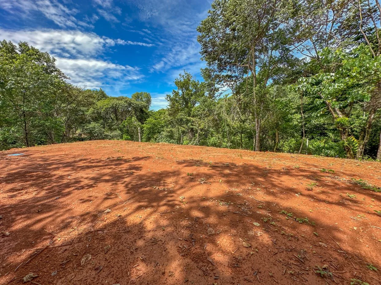 1.6 Acre Jungle and Creek Lot in Gated Community in Ojochal