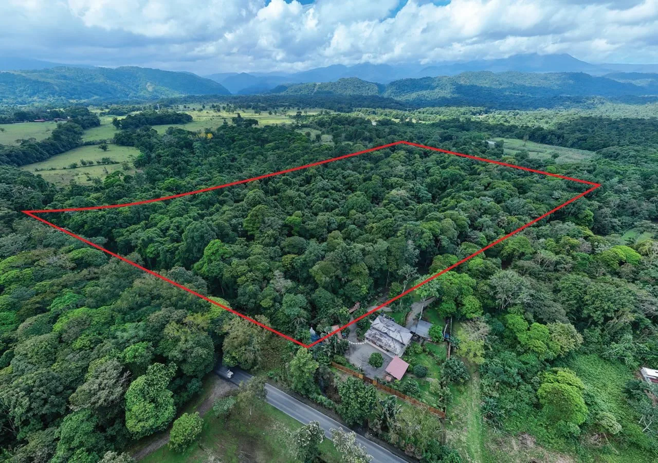 The Emerald Gateway: 11 Hectares of Virgin Rainforest Near San José