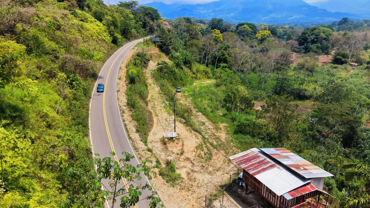 1 Ha Lot for sale in San Pedro: River, Versatile Climate &amp; Utilities