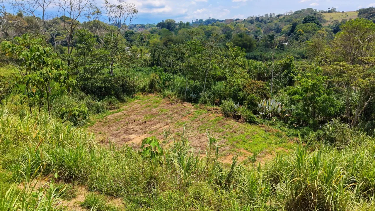 1 Ha Lot for sale in San Pedro: River, Versatile Climate &amp; Utilities — photo 3