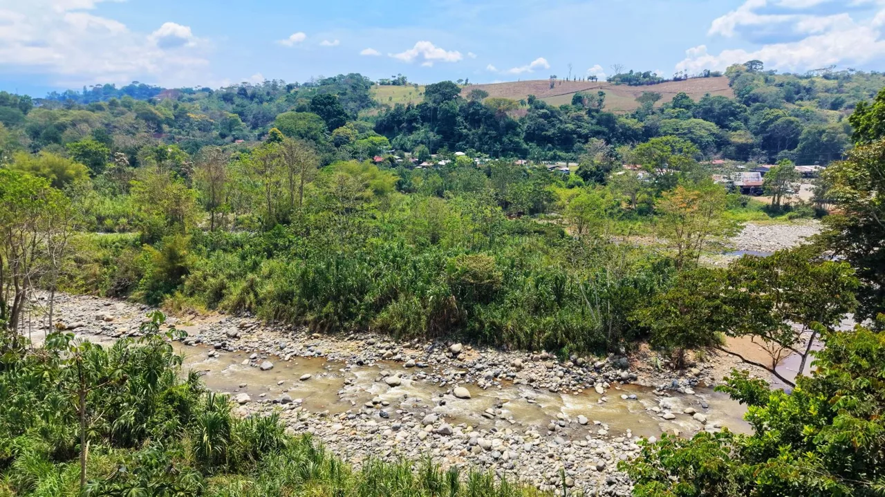 1 Ha Lot for sale in San Pedro: River, Versatile Climate &amp; Utilities — photo 5