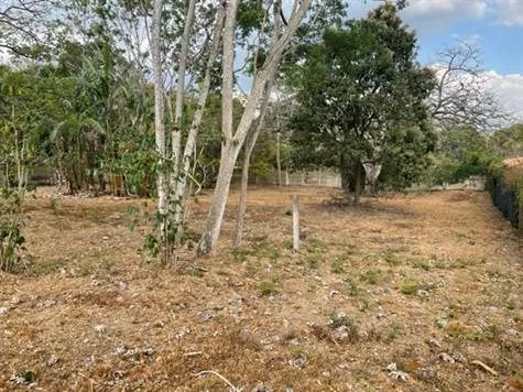 3042m2 in perimeter area already subdivided in Atenas