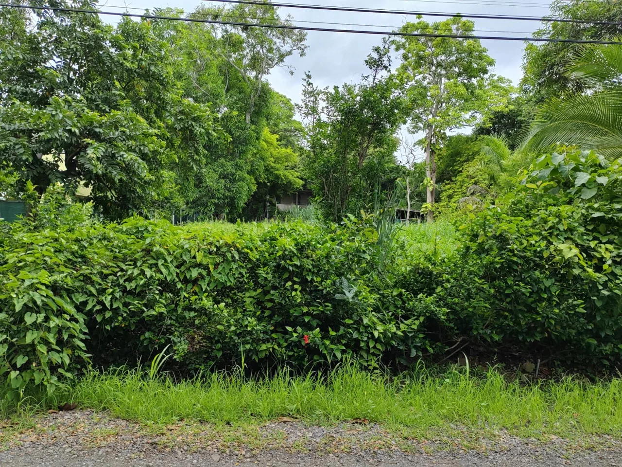 VACANT LOT PLAYA TIVIVES – PUNTARENAS
